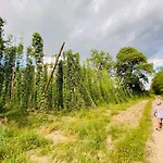 Luxuszelt Greenvalleyglamping *
