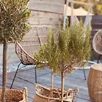Greenvalleyglamping 럭셔리텐트 *