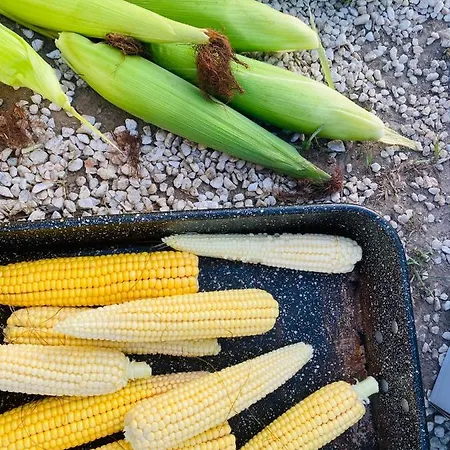 Greenvalleyglamping Lyxtält *