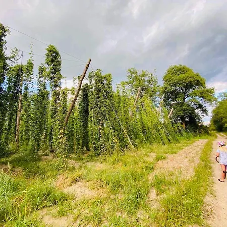 Campo de lujo Greenvalleyglamping *