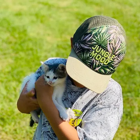 Greenvalleyglamping Campo de lujo