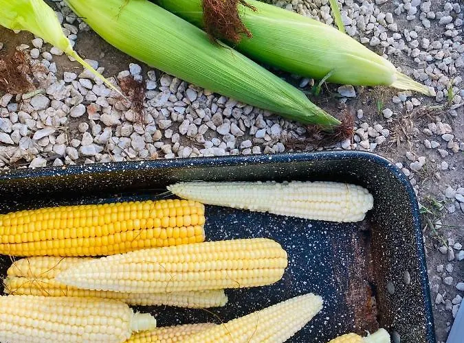 Greenvalleyglamping Luxuszelt *