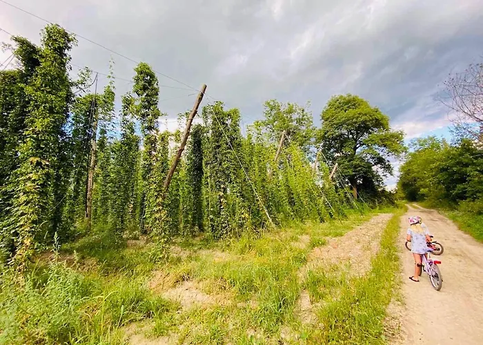 Luxuszelt Greenvalleyglamping *