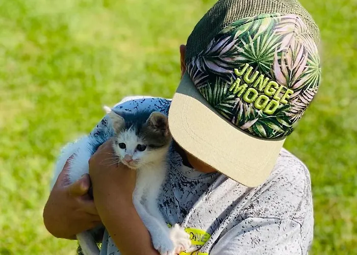 Greenvalleyglamping Glamping